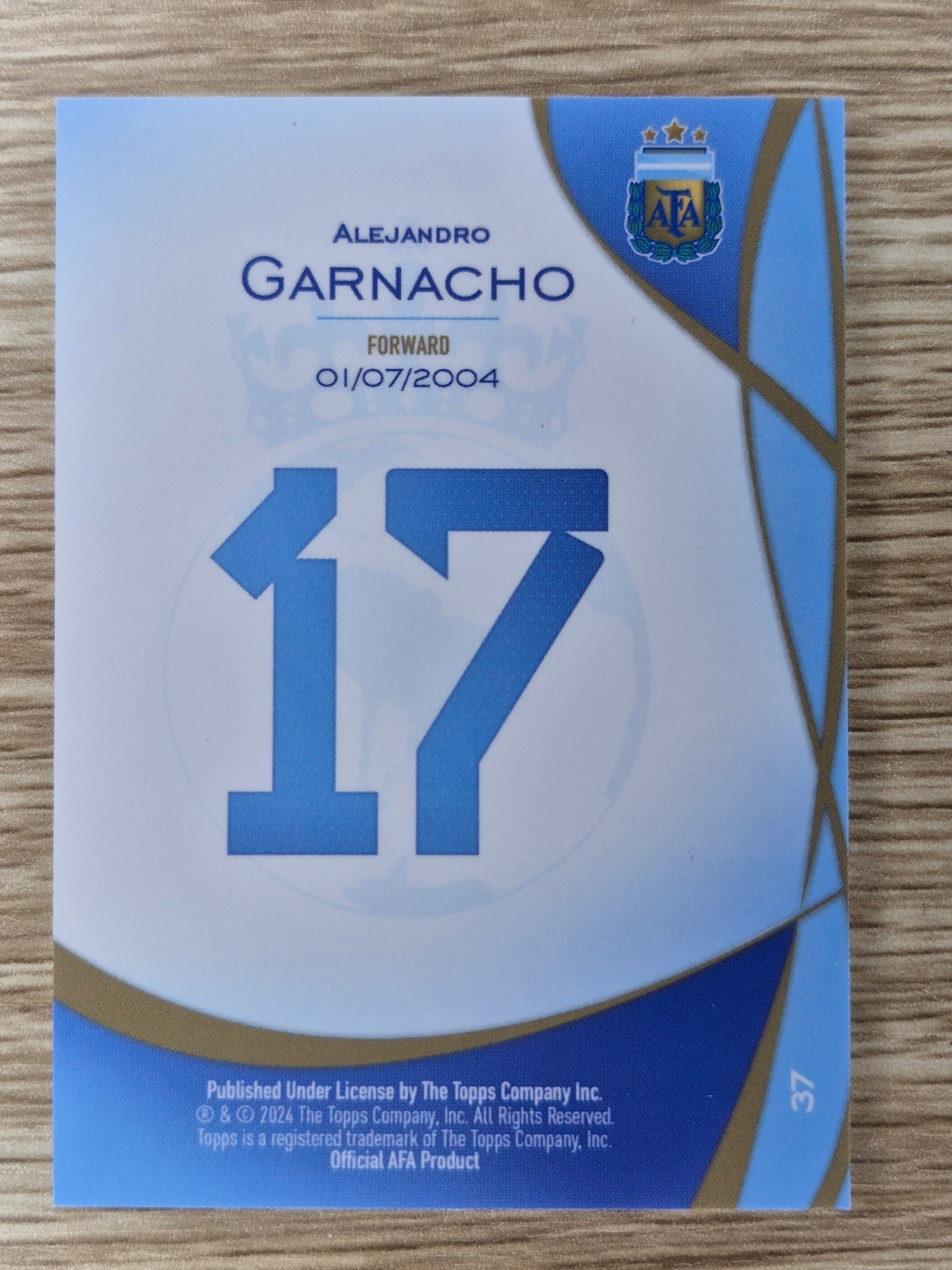 2024 Topps Argentina Lineage Alejandro Garnarcho Pink 17/80 JERSEY Number.