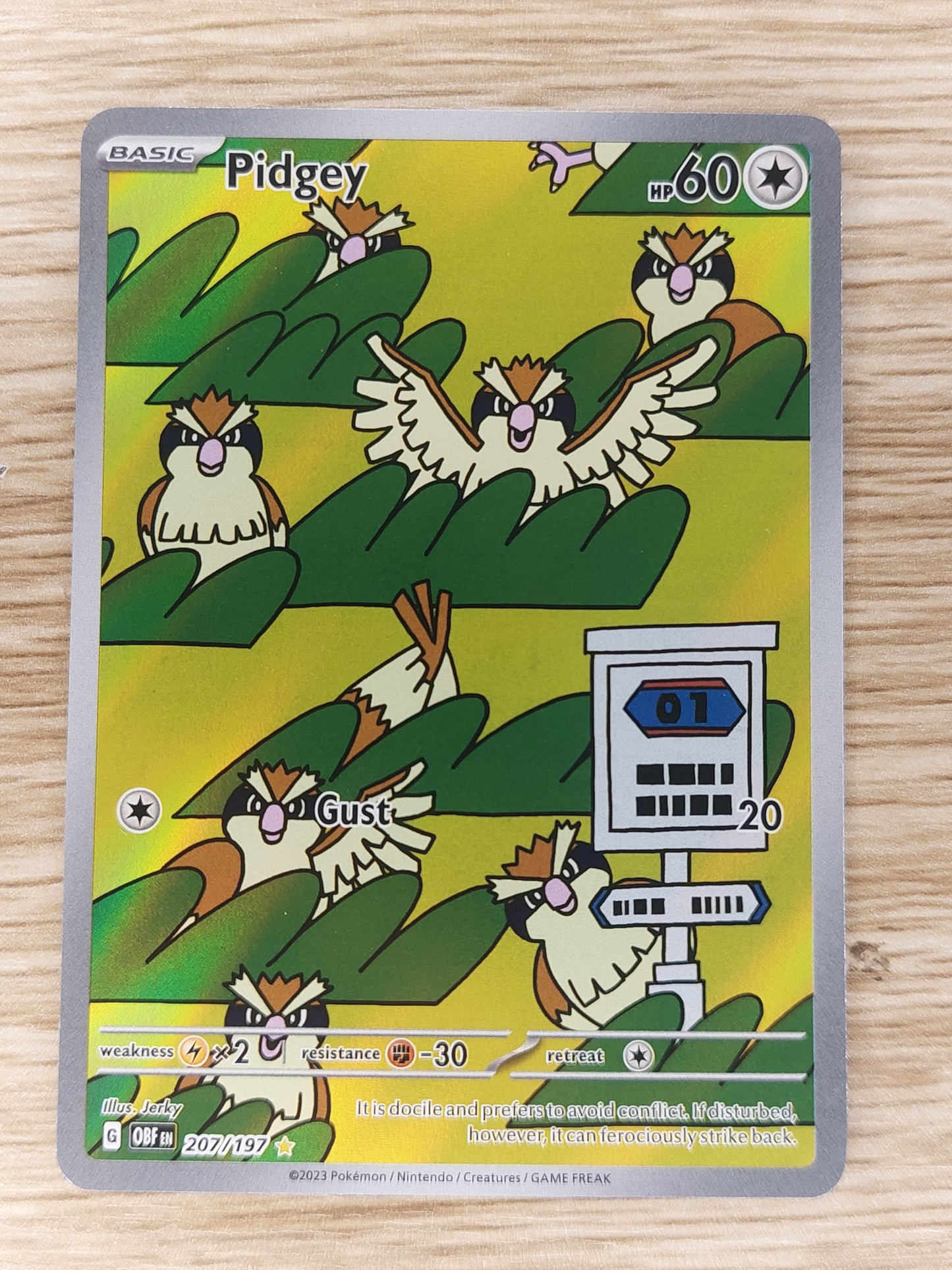 Pokemon 2023 Pidgey Illustration Rare Obsidian Flames 207/197