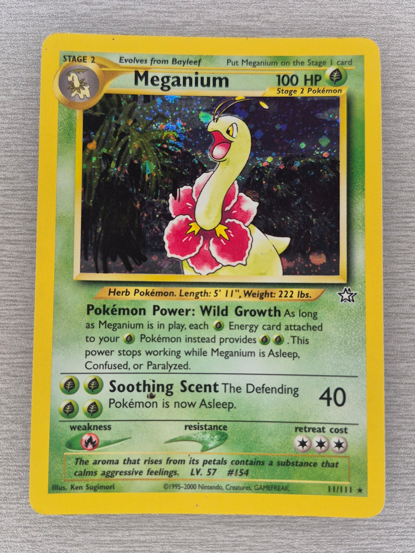 Pokemon TCG · Meganium 11/111 · Holo Rare · Neo Genesis (2000) LP