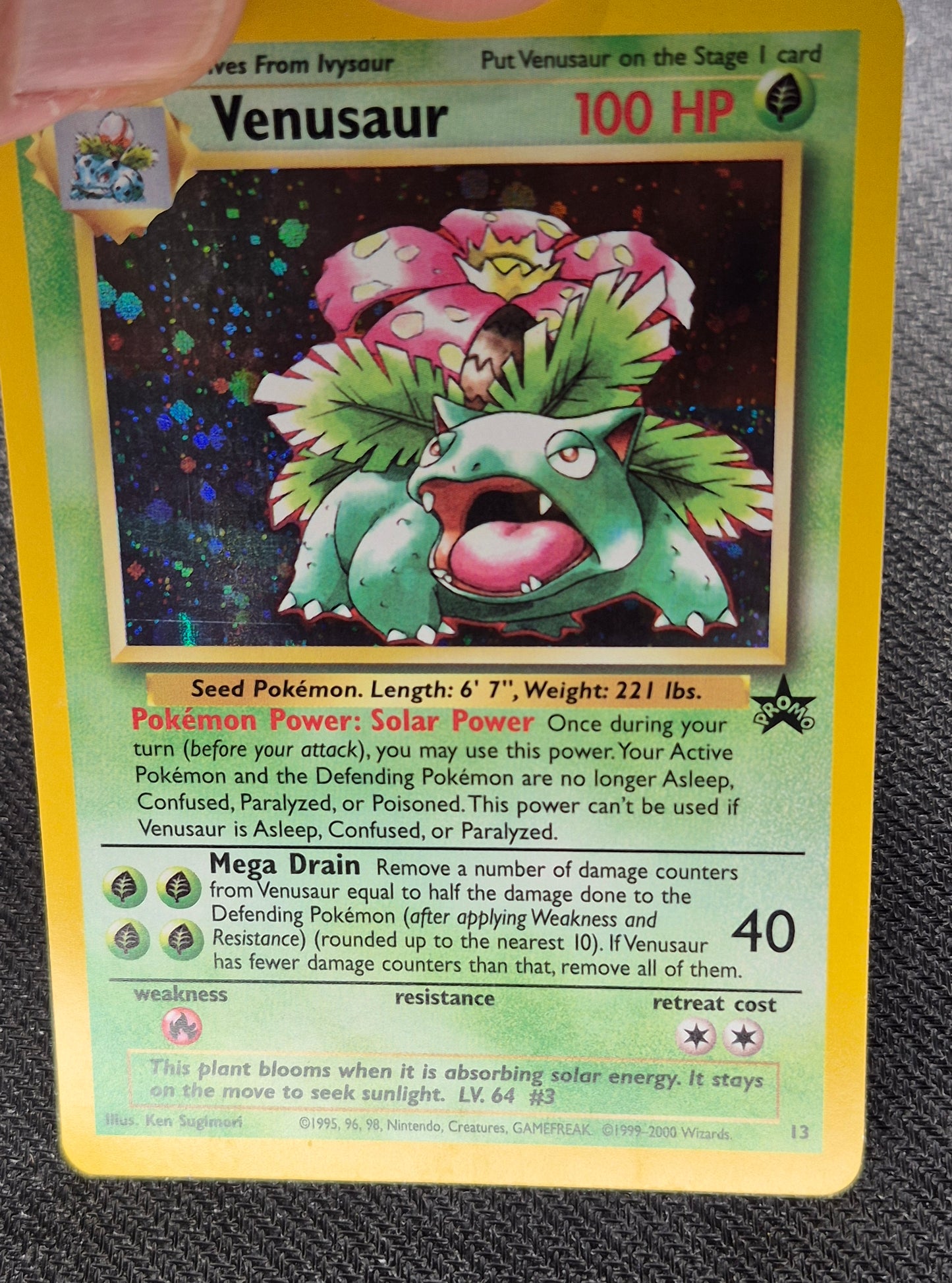 Pokémon Venusaur Black Star Promo #13 WOTC 2000 – Near Mint Vintage Holo