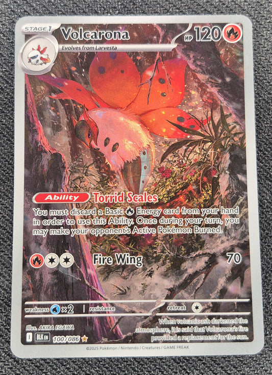 Volcarona - 100/086 - Illustration Rare - Black Bolt - Pokemon Card - NM