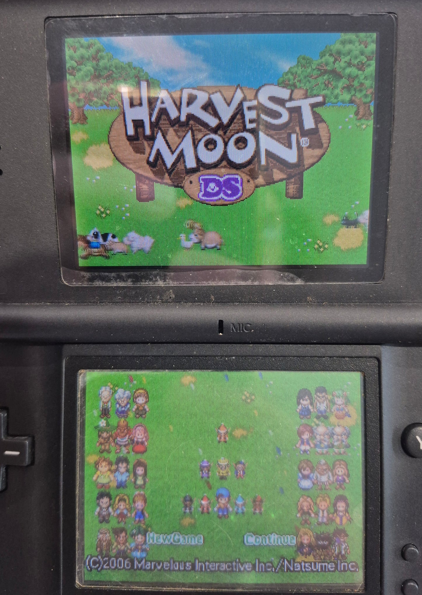 Nintendo DS Harvest Moon Game CIB Rare USA Tested VGC