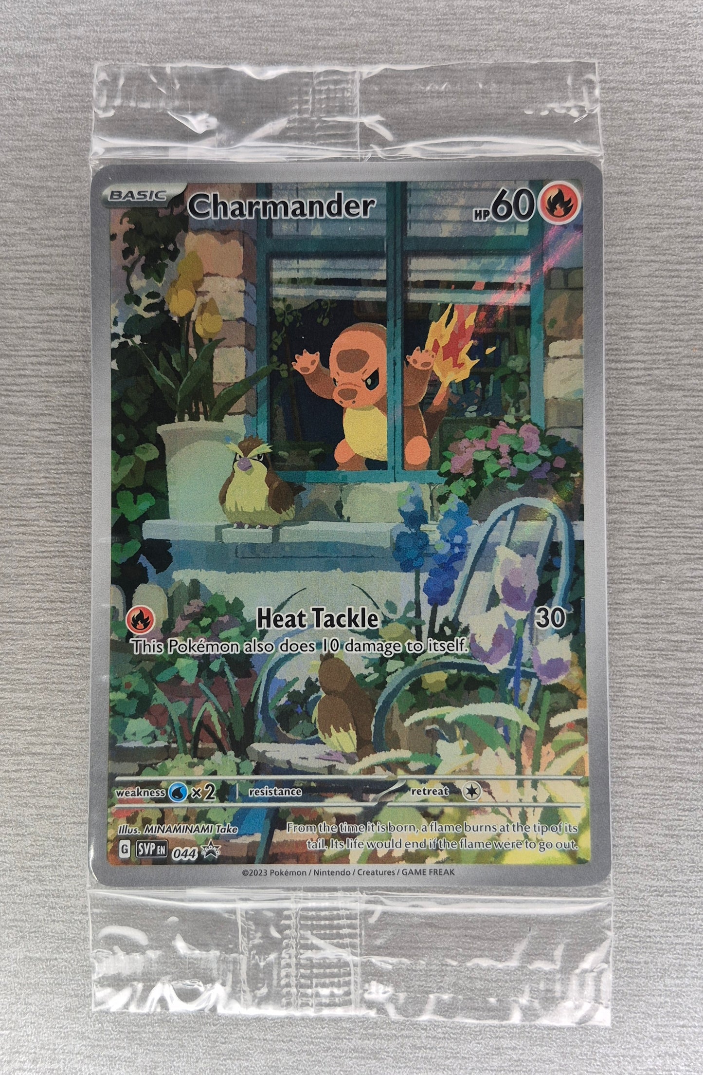 Pokemon Obsidian Flames Charmander SVP 044 Promo Sealed