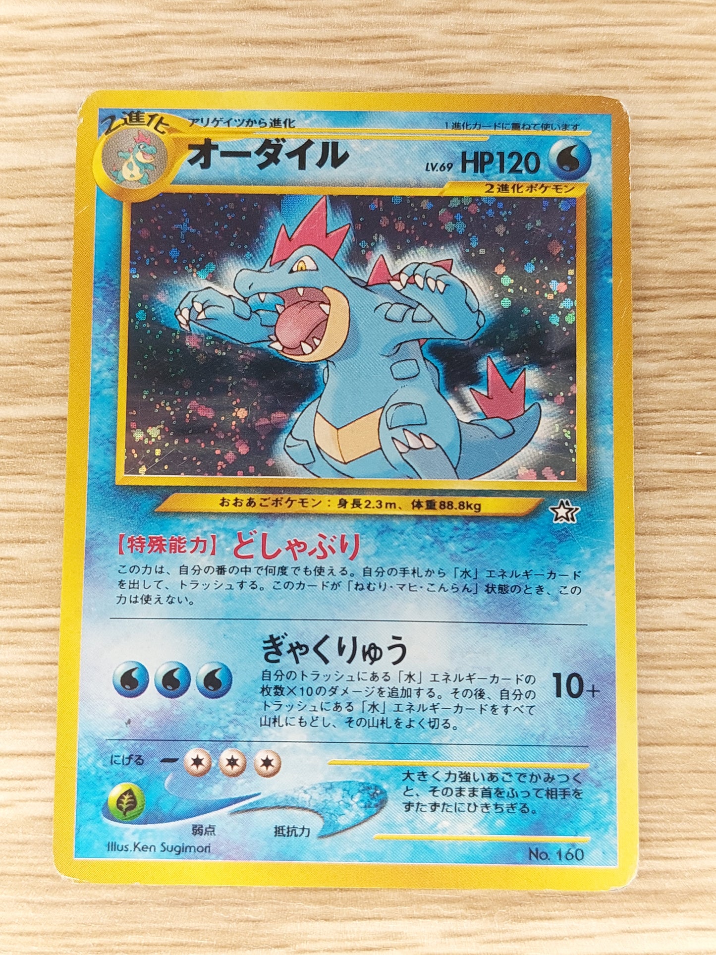 Feraligatr #160 Holo Neo Premium File Japanese Old Back