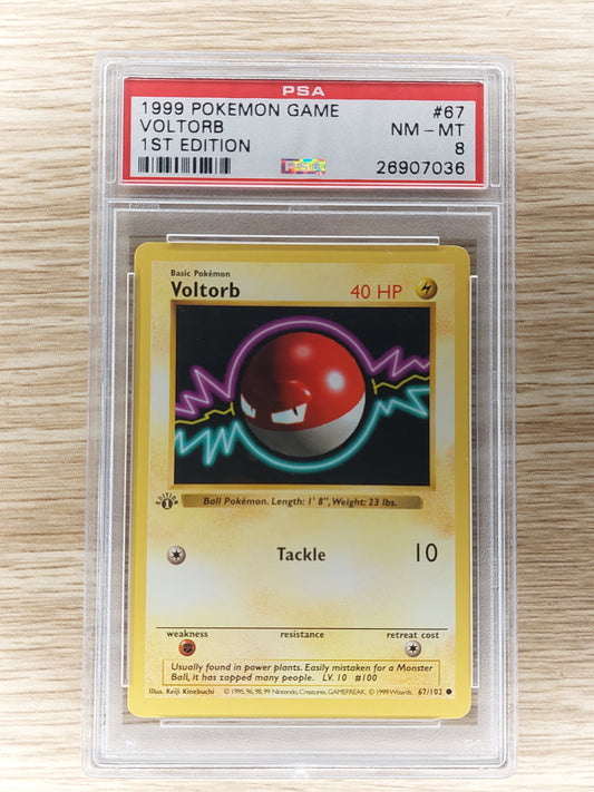 PSA 8 Voltorb - 1st Edition Shadowless Base Set - 67/102 - Pokemon Card