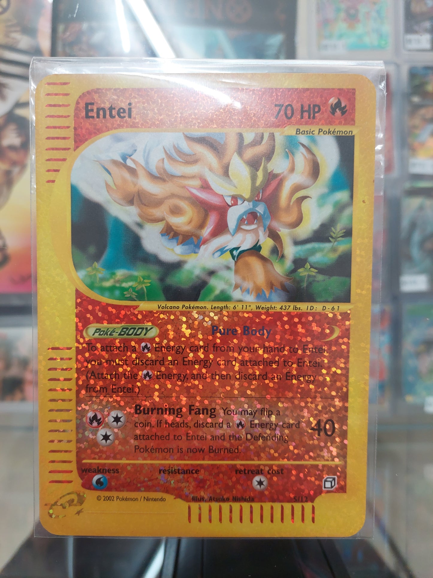 Pokemon Entei Aquapolis Reverse Holo Box Topper Jumbo Card 5/12 LP