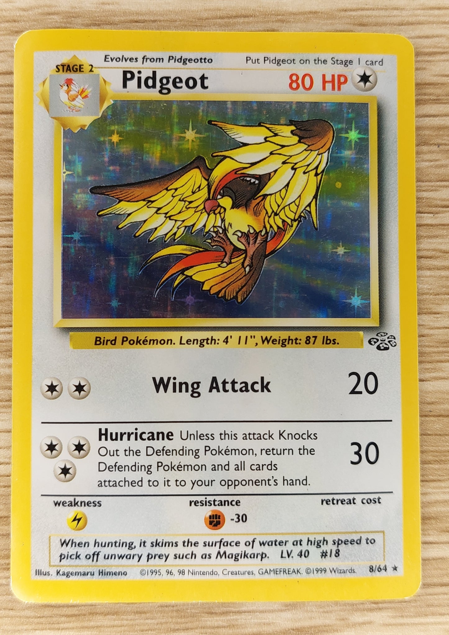 Pokemon 1999 Pidgeot Jungle  Holo Rare 8/64 HP