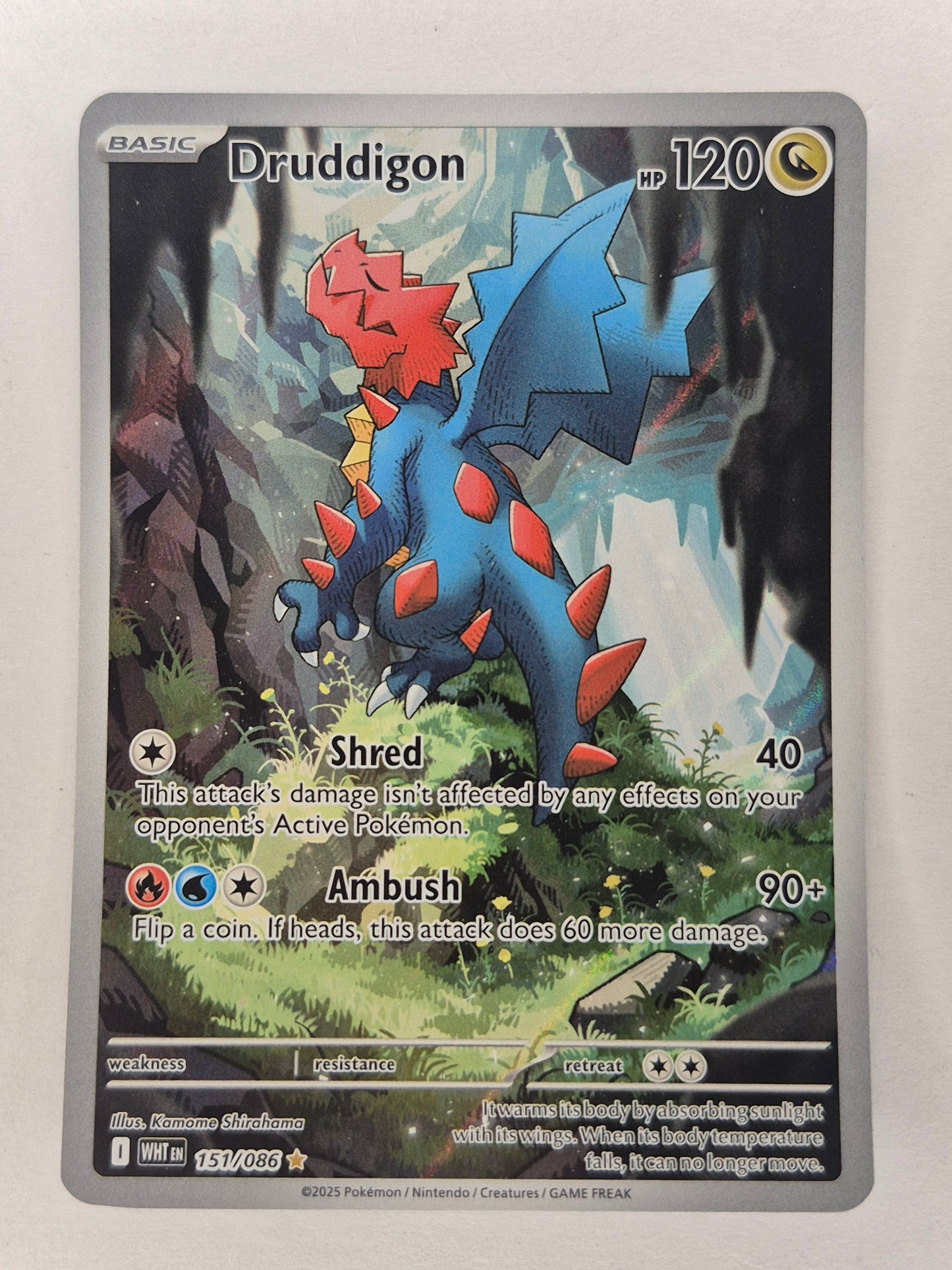 Druddigon 151/086 Pokemon White Flare Illustration Rare Near Mint Card NM