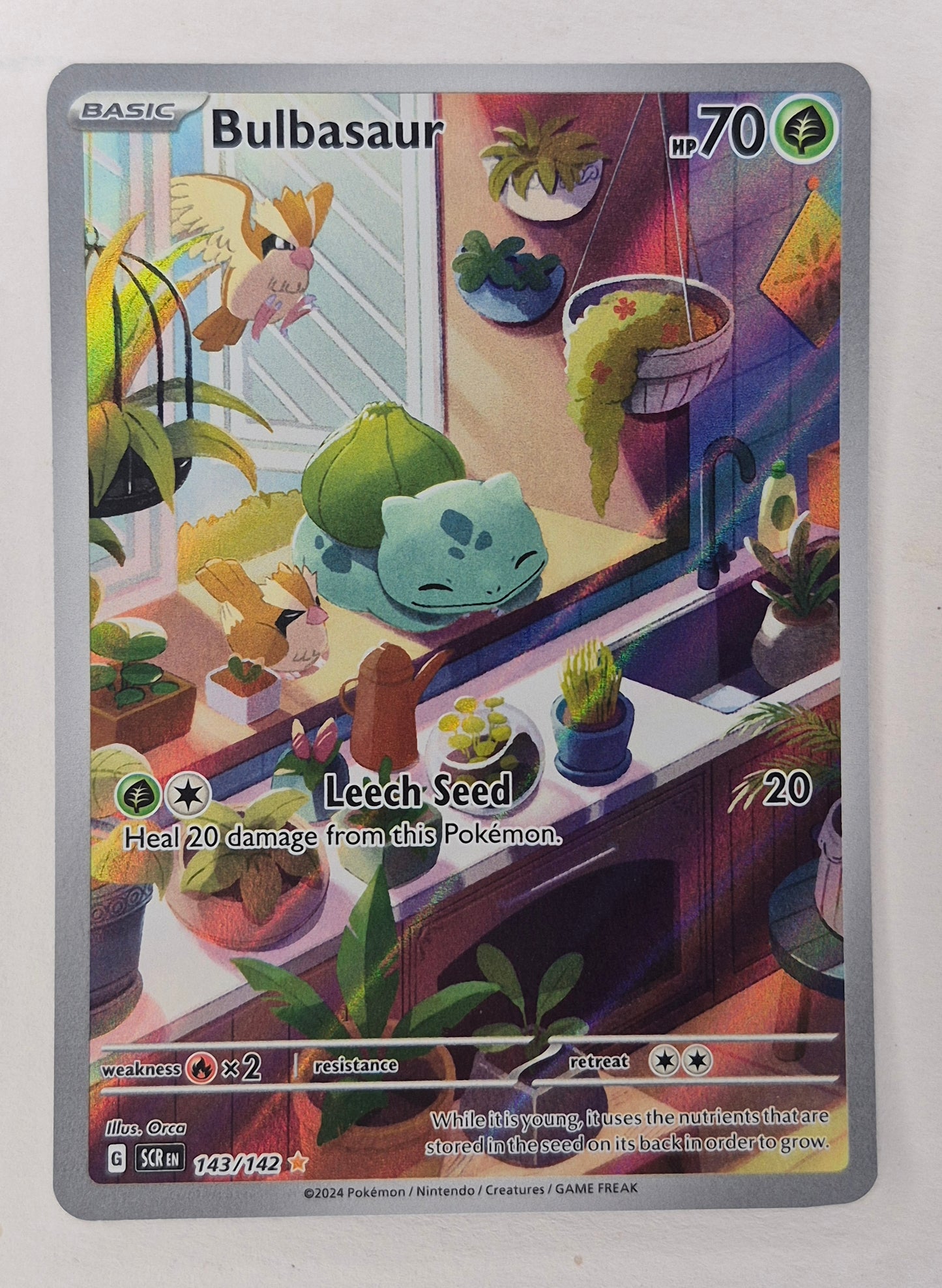 Pokemon Stellar Crown 143/142 Bulbasaur Illustration Rare LP