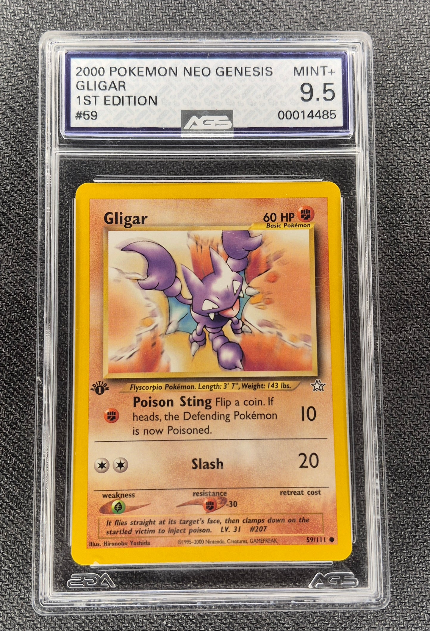 2000 Pokémon Neo Genesis 59/111 Gligar 1st Edition AGS 9.5 Mint+
