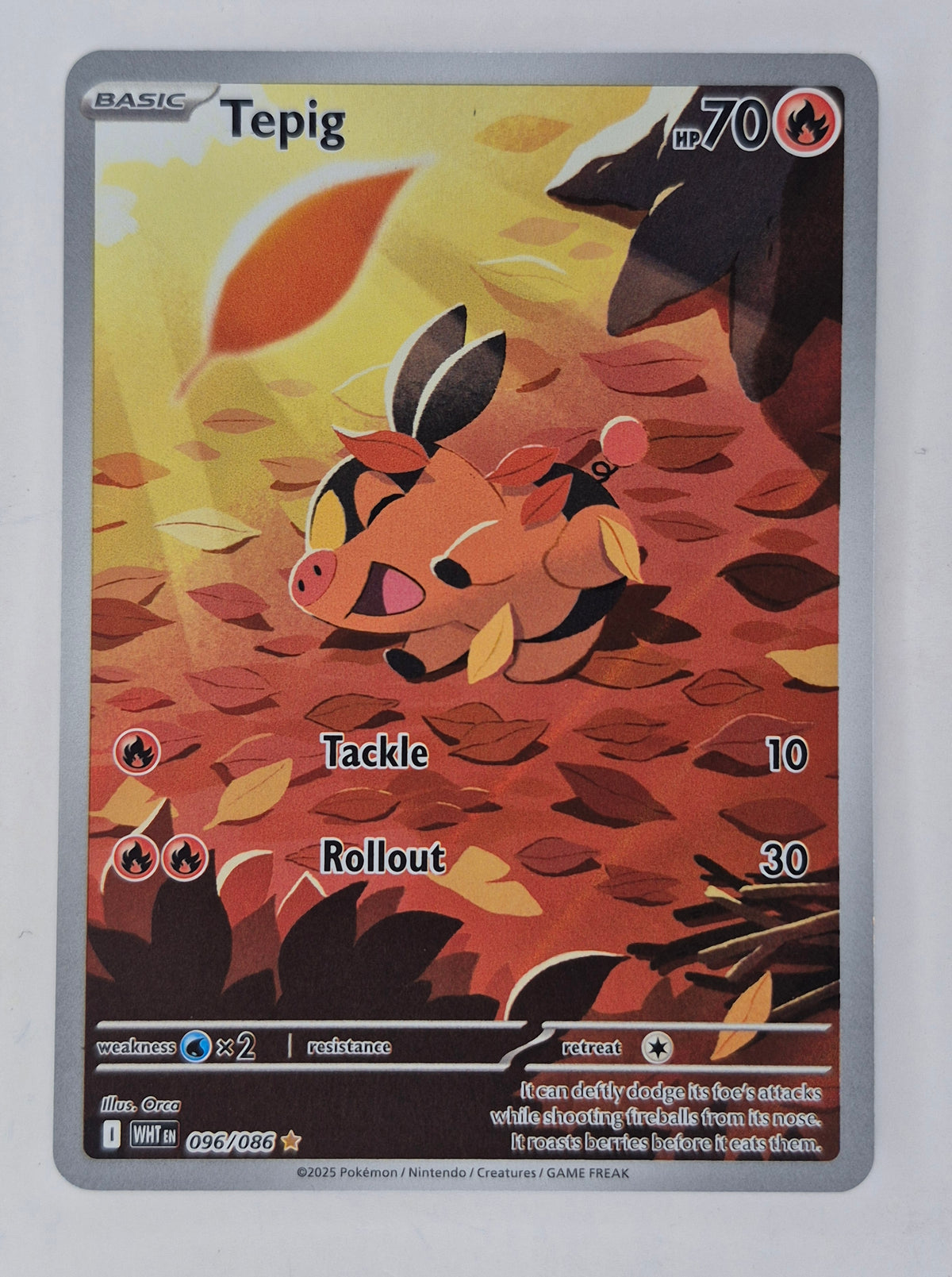 2025 Pokemon Tepig 096/086 White Flare Illustration Rare NM
