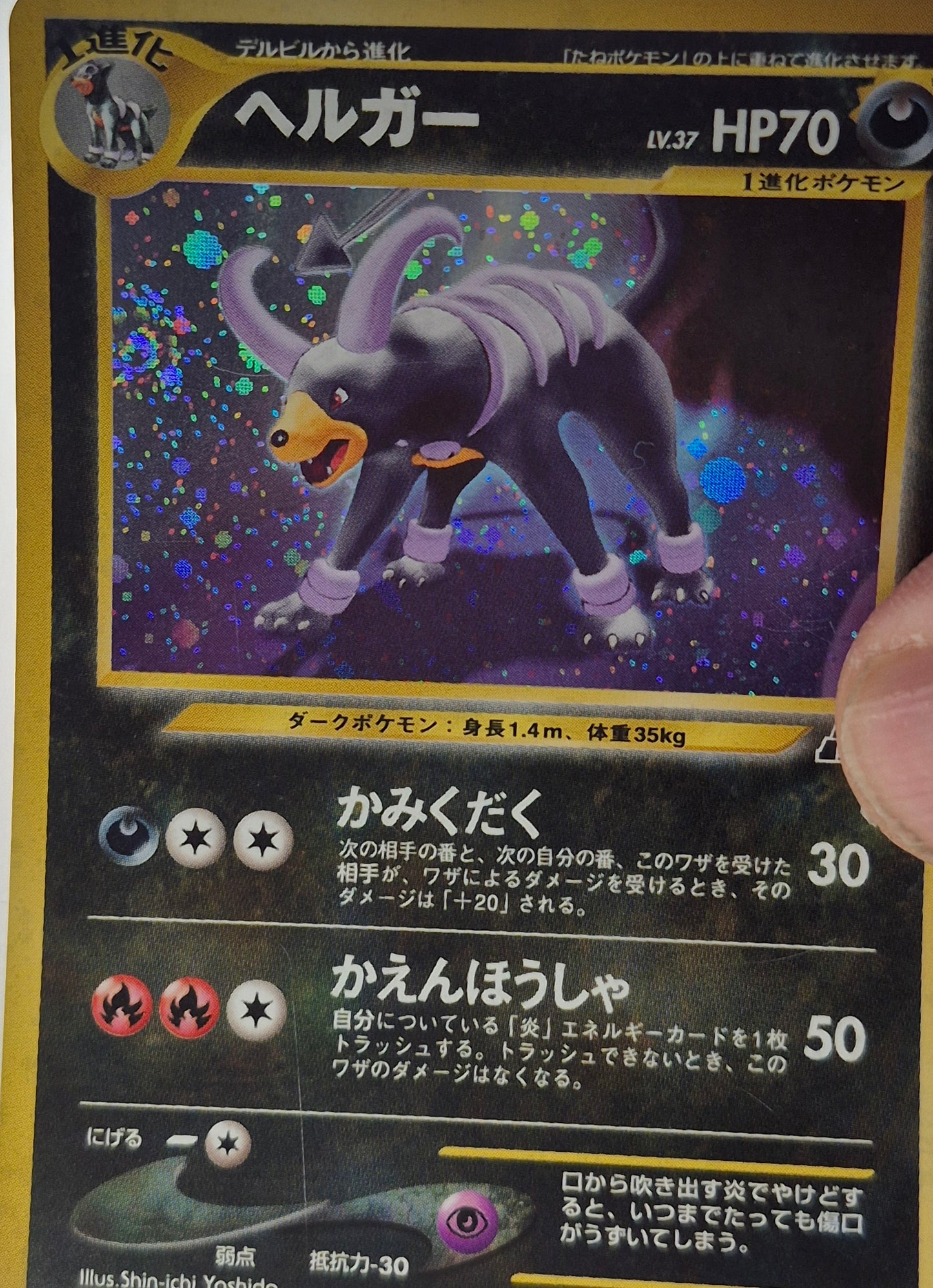 Houndoom Pokemon 2000 Holo Neo Discovery Japanese 229 LP Swirl