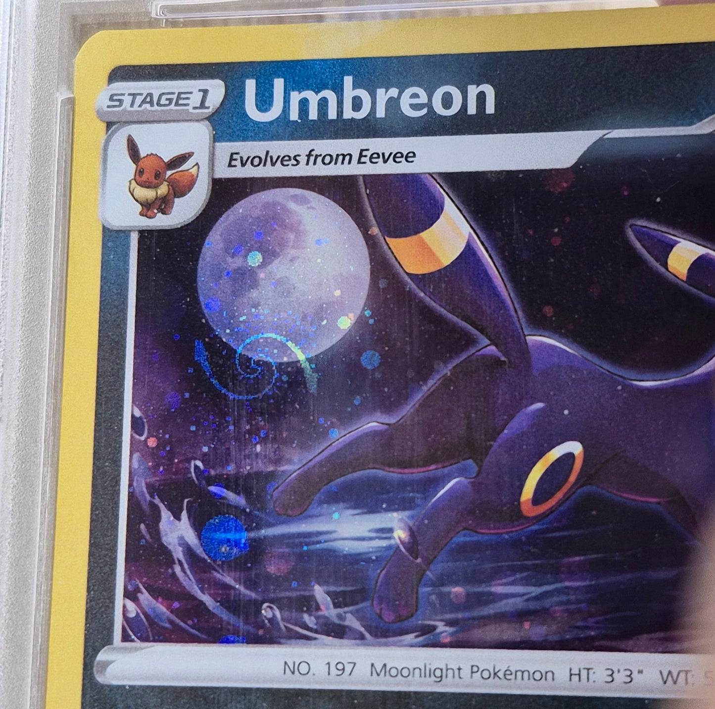 2021 SWSH Umbreon Holo Promo Evolving Skies Blister SWSH129 #Swirl# PSA 9