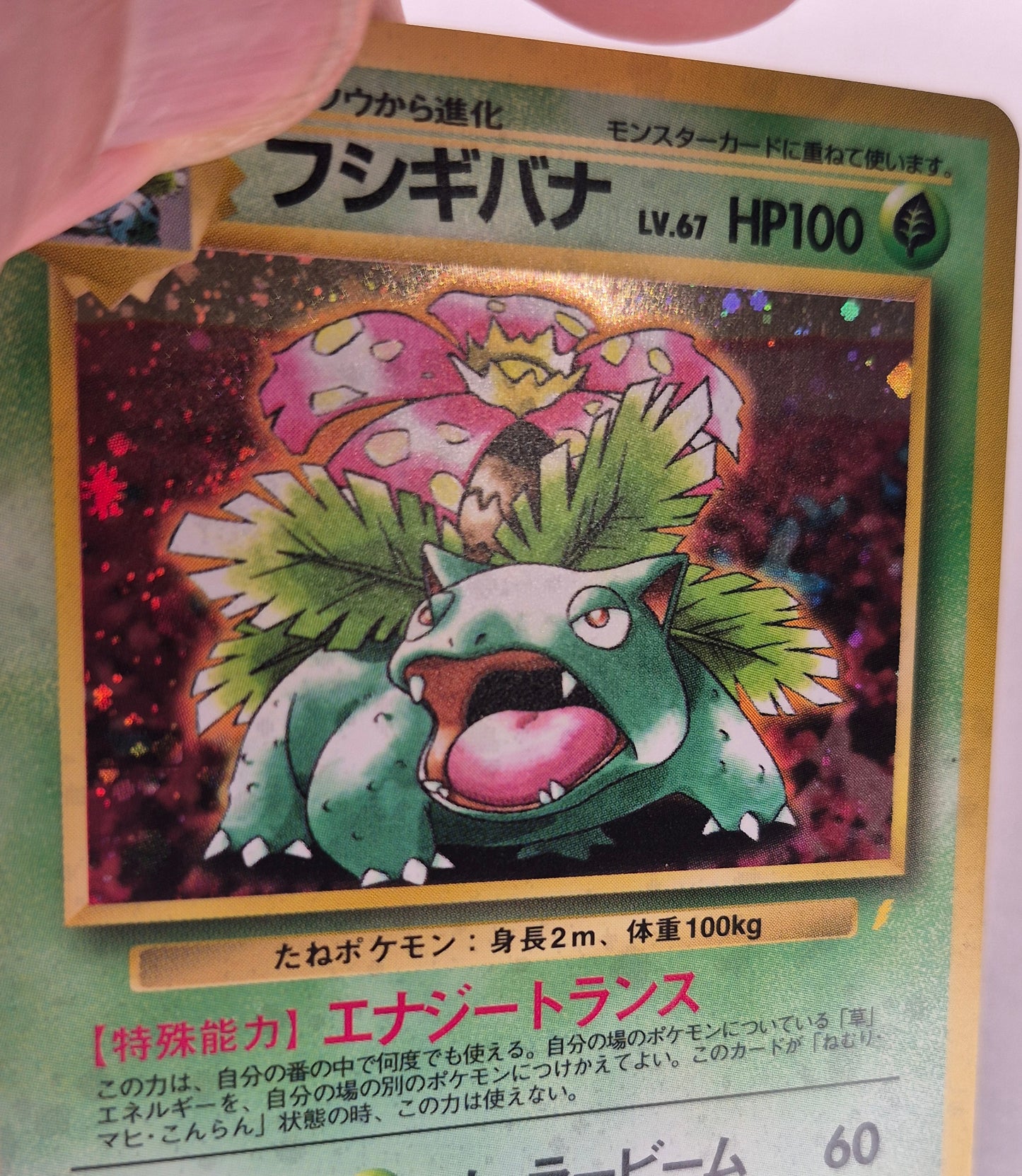 1996 Pokemon  Venusaur #003 Holo CD Promo Japanese LP