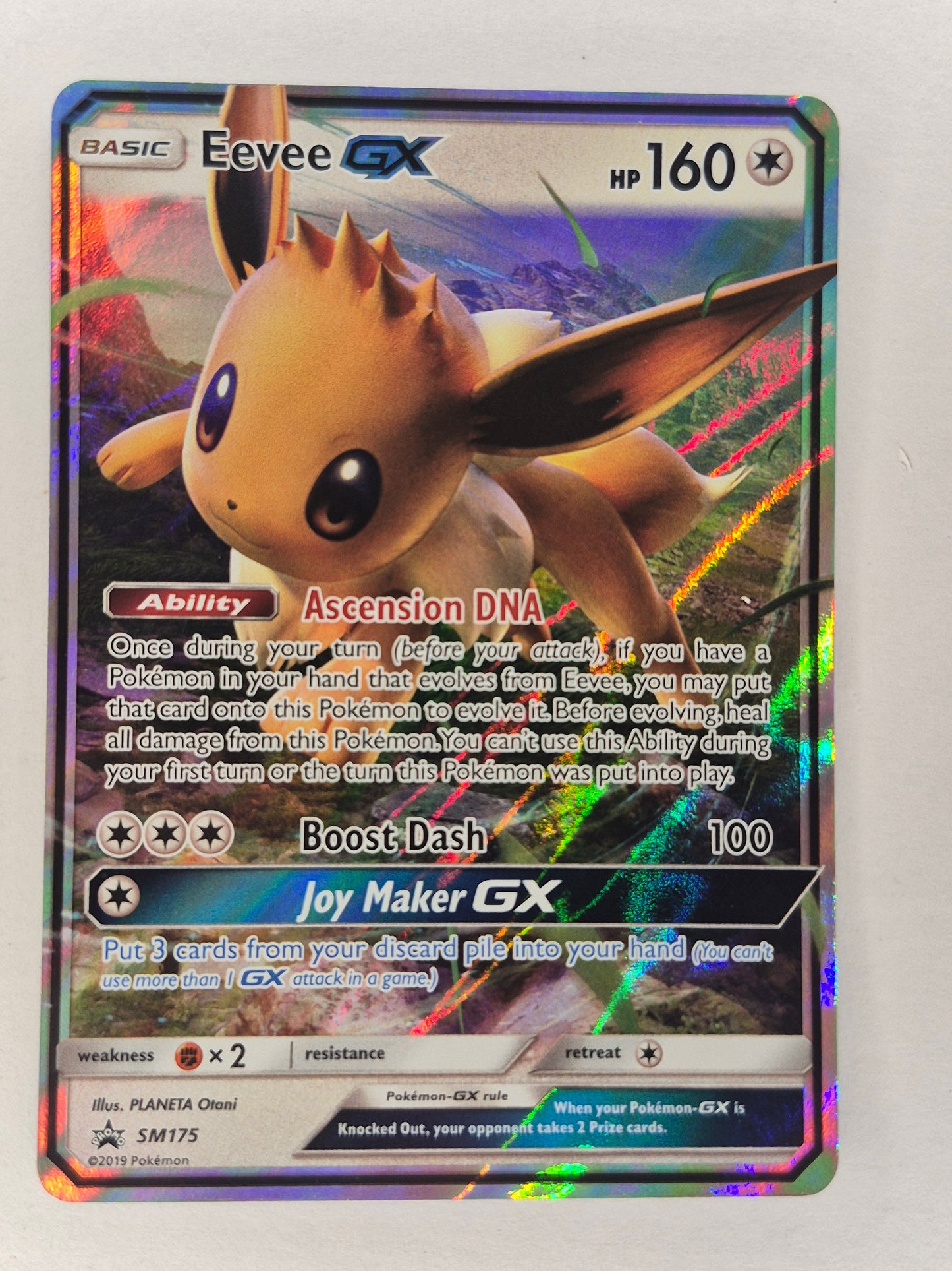 2019 Pokémon Black Star Promo SM175 Eevee GX LP