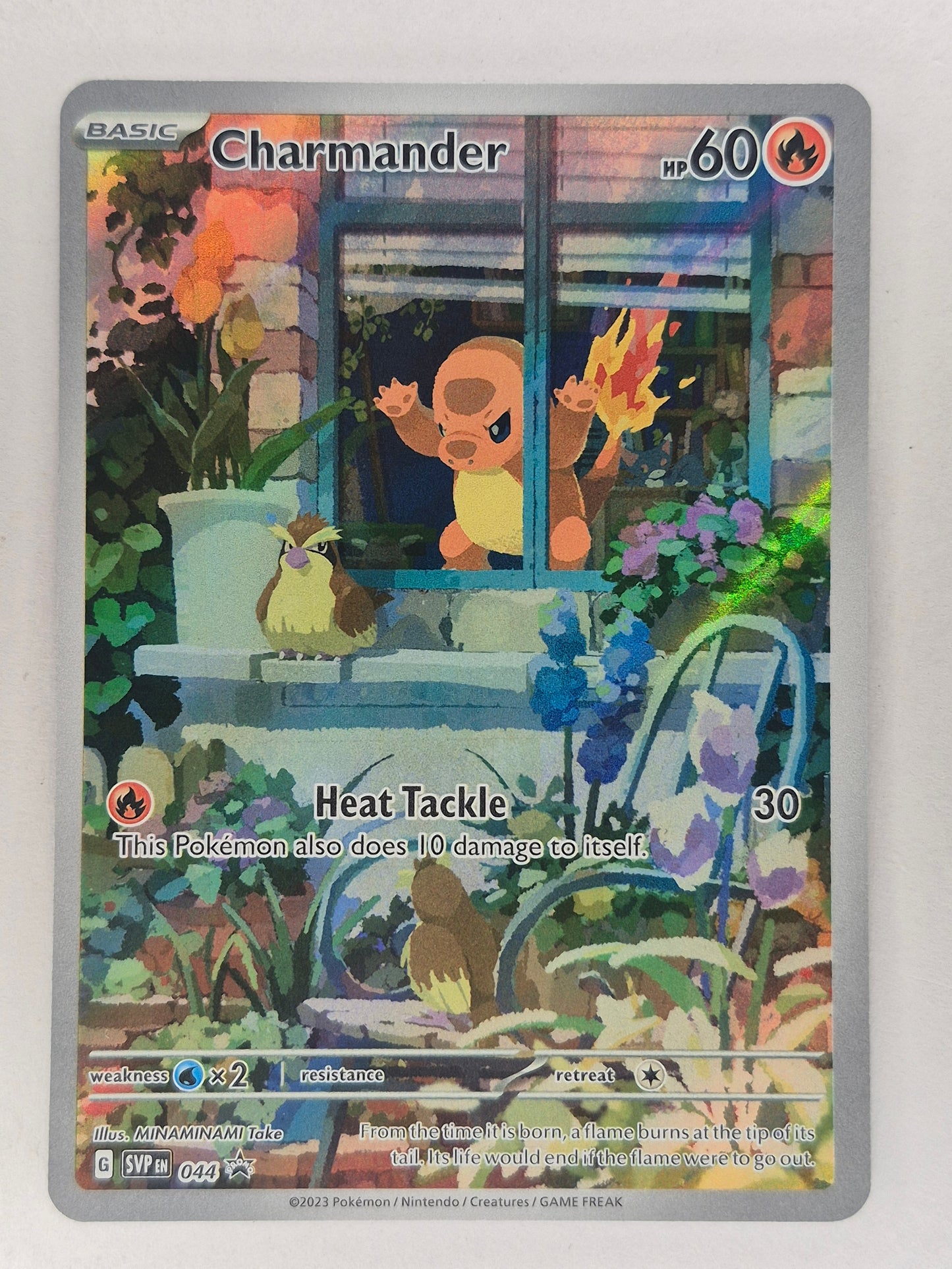Pokemon Obsidian Flames Charmander SVP 044 Promo NM